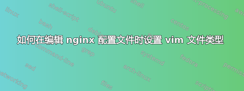 如何在编辑 nginx 配置文件时设置 vim 文件类型