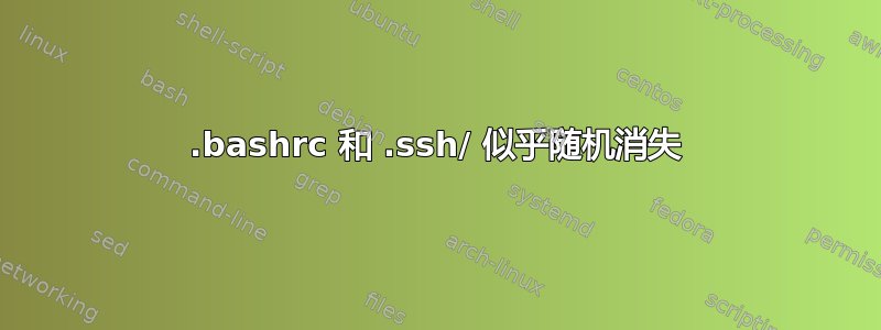 .bashrc 和 .ssh/ 似乎随机消失