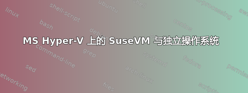 MS Hyper-V 上的 SuseVM 与独立操作系统 