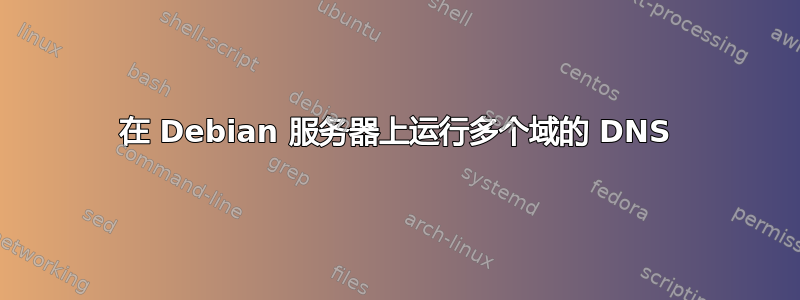 在 Debian 服务器上运行多个域的 DNS