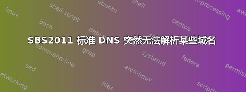 SBS2011 标准 DNS 突然无法解析某些域名