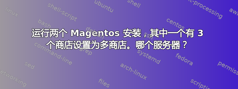 运行两个 Magentos 安装，其中一个有 3 个商店设置为多商店。哪个服务器？