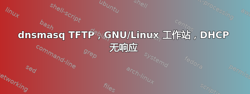 dnsmasq TFTP，GNU/Linux 工作站，DHCP 无响应