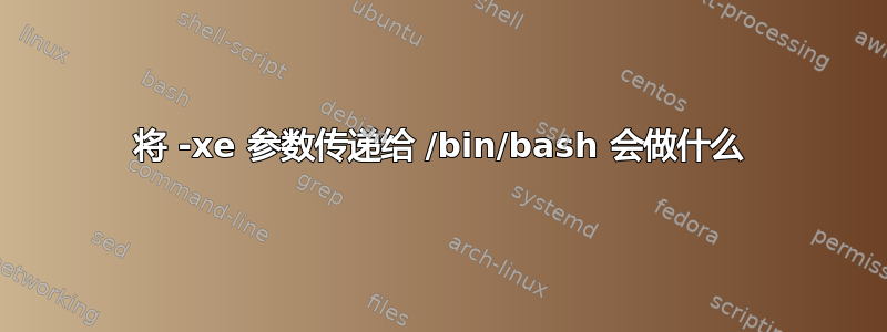 将 -xe 参数传递给 /bin/bash 会做什么