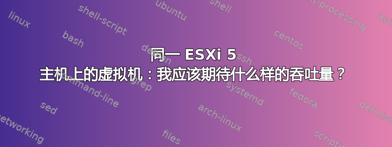 同一 ESXi 5 主机上的虚拟机：我应该期待什么样的吞吐量？