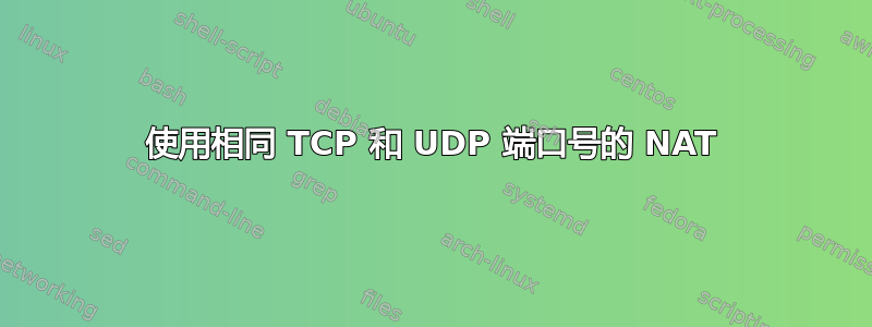 使用相同 TCP 和 UDP 端口号的 NAT