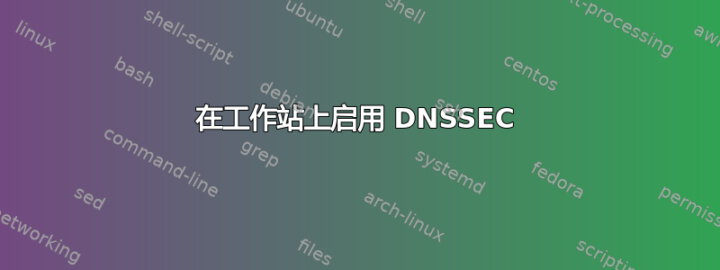 在工作站上启用 DNSSEC