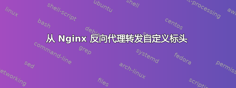 从 Nginx 反向代理转发自定义标头