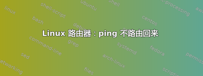 Linux 路由器：ping 不路由回来