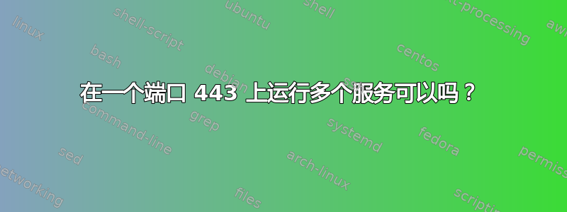 在一个端口 443 上运行多个服务可以吗？