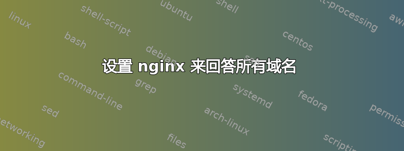 设置 nginx 来回答所有域名