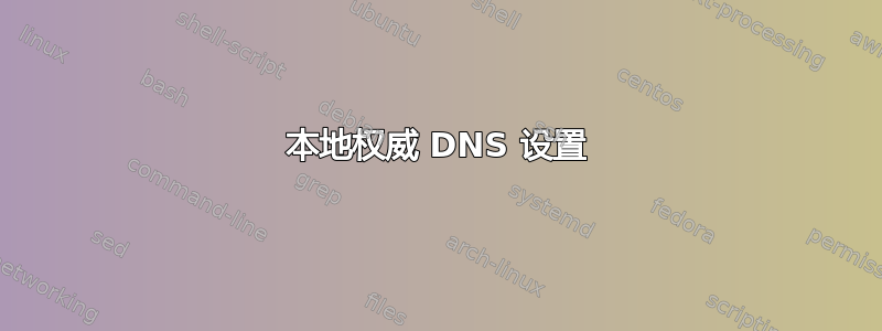 本地权威 DNS 设置