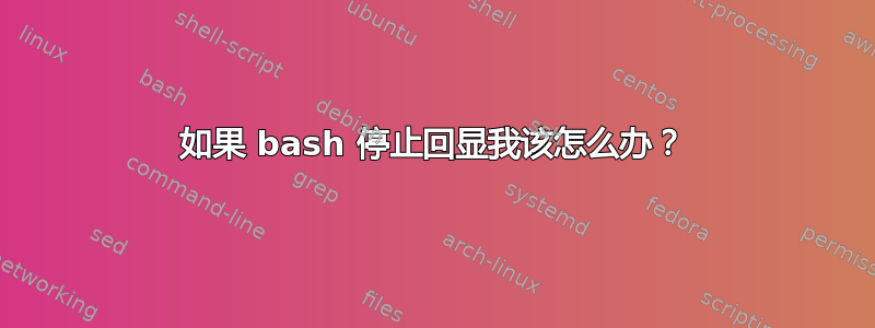 如果 bash 停止回显我该怎么办？