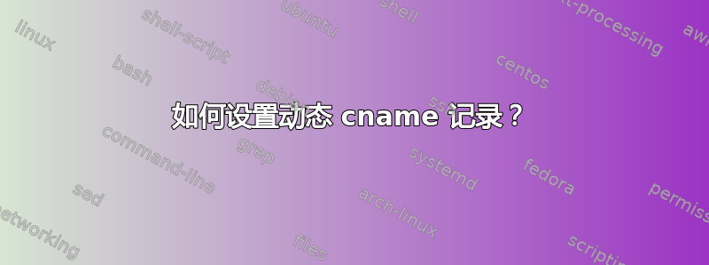 如何设置动态 cname 记录？