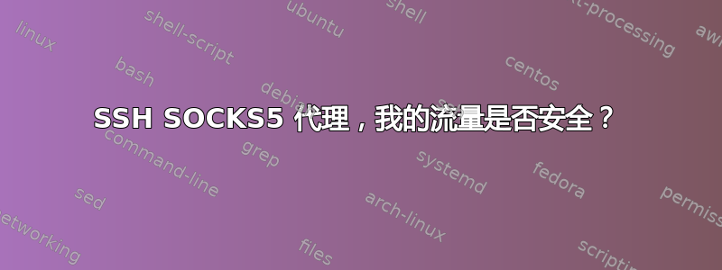 SSH SOCKS5 代理，我的流量是否安全？