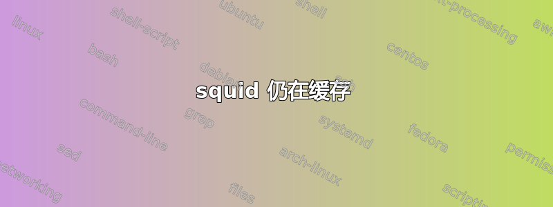 squid 仍在缓存