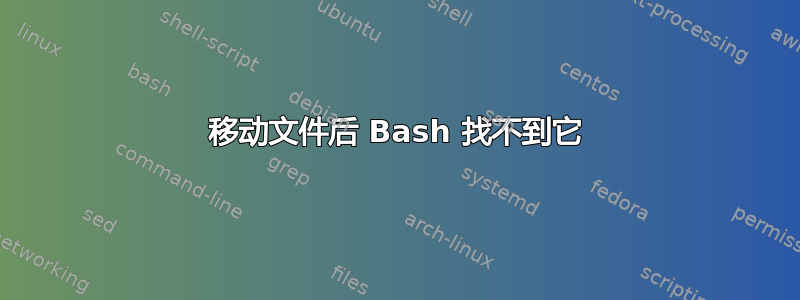 移动文件后 Bash 找不到它