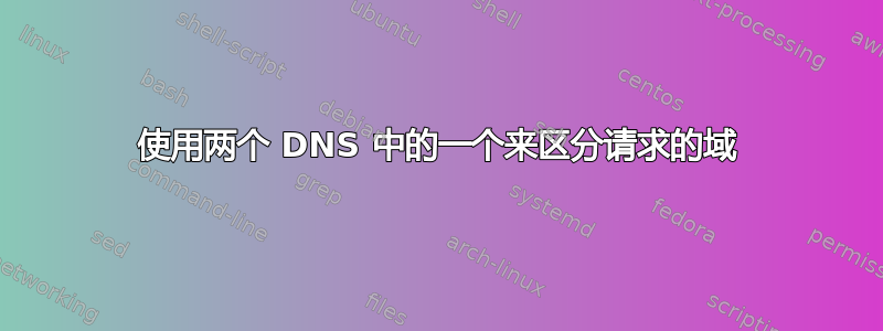 使用两个 DNS 中的一个来区分请求的域