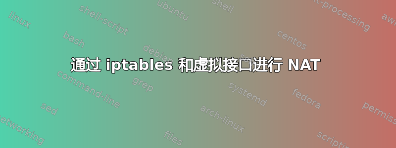 通过 iptables 和虚拟接口进行 NAT