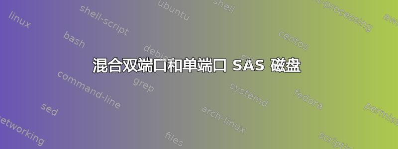 混合双端口和单端口 SAS 磁盘