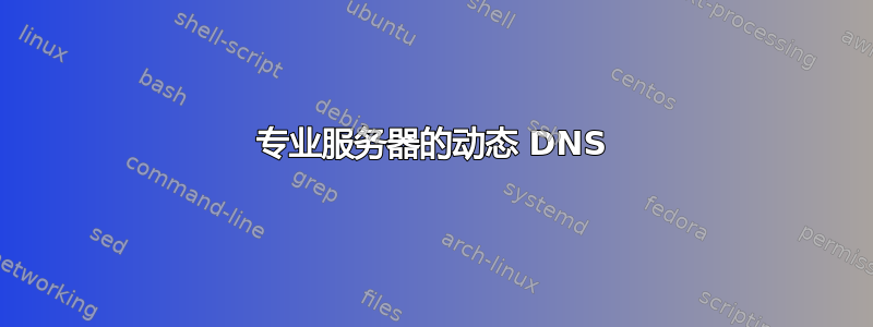 专业服务器的动态 DNS