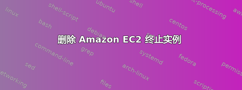 删除 Amazon EC2 终止实例