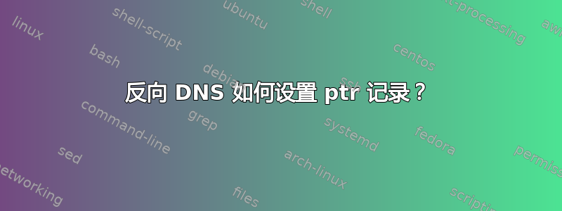 反向 DNS 如何设置 ptr 记录？