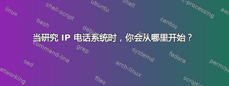 当研究 IP 电话系统时，你会从哪里开始？