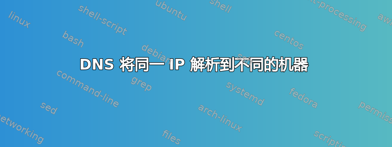 DNS 将同一 IP 解析到不同的机器