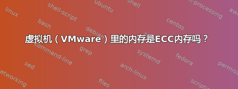 虚拟机（VMware）里的内存是ECC内存吗？