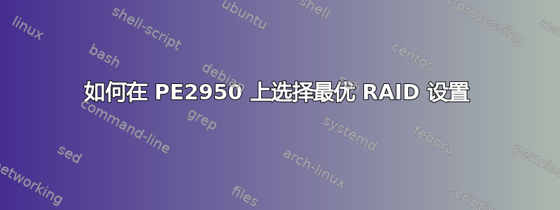 如何在 PE2950 上选择最优 RAID 设置