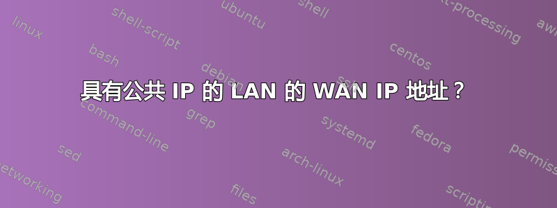 具有公共 IP 的 LAN 的 WAN IP 地址？