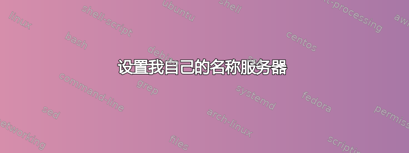 设置我自己的名称服务器