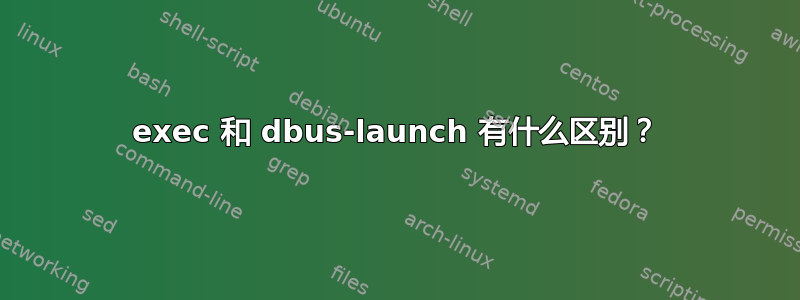 exec 和 dbus-launch 有什么区别？