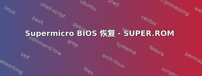 Supermicro BIOS 恢复 - SUPER.ROM