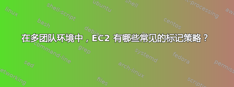 在多团队环境中，EC2 有哪些常见的标记策略？