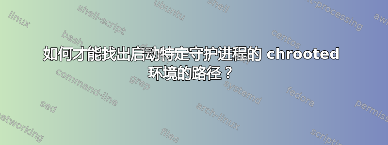 如何才能找出启动特定守护进程的 chrooted 环境的路径？