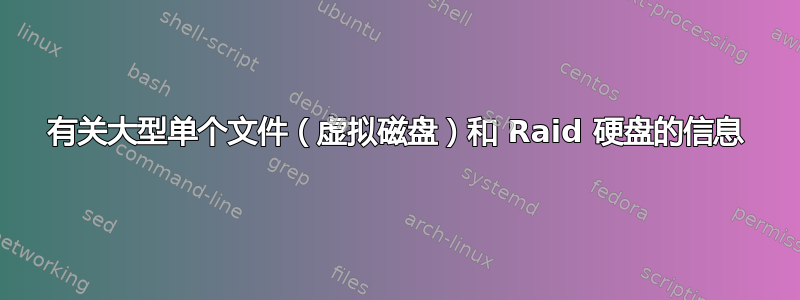 有关大型单个文件（虚拟磁盘）和 Raid 硬盘的信息