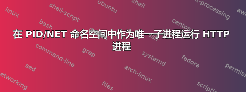 在 PID/NET 命名空间中作为唯一子进程运行 HTTP 进程