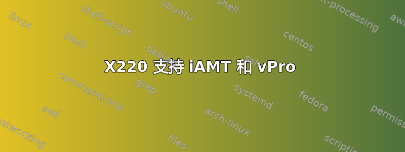 X220 支持 iAMT 和 vPro