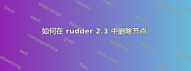 如何在 rudder 2.3 中删除节点