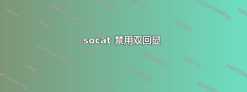 socat 禁用双回显