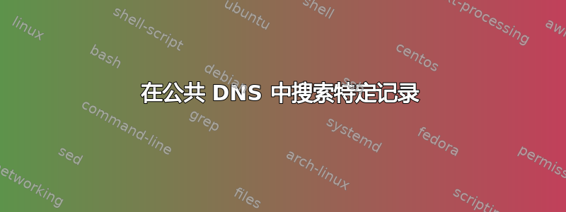 在公共 DNS 中搜索特定记录