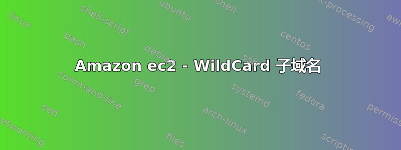 Amazon ec2 - WildCard 子域名