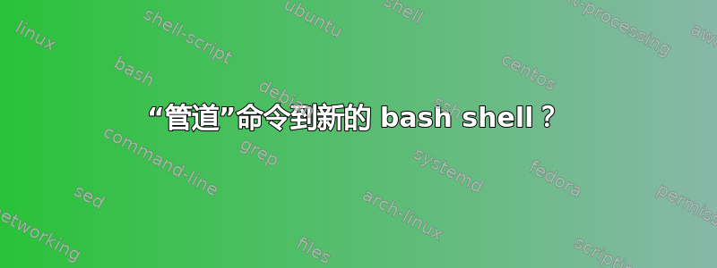 “管道”命令到新的 bash shell？