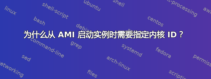 为什么从 AMI 启动实例时需要指定内核 ID？