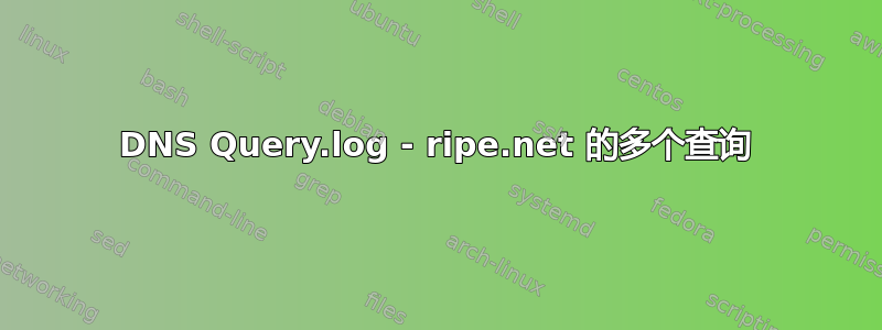 DNS Query.log - ripe.net 的多个查询