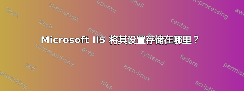 Microsoft IIS 将其设置存储在哪里？