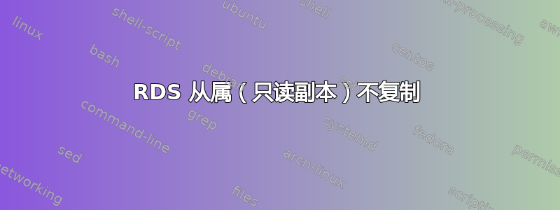 RDS 从属（只读副本）不复制