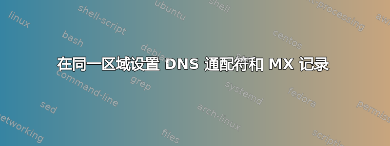 在同一区域设置 DNS 通配符和 MX 记录